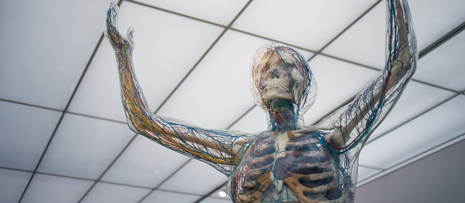 Neurologie - Clinica Dr. Stoica